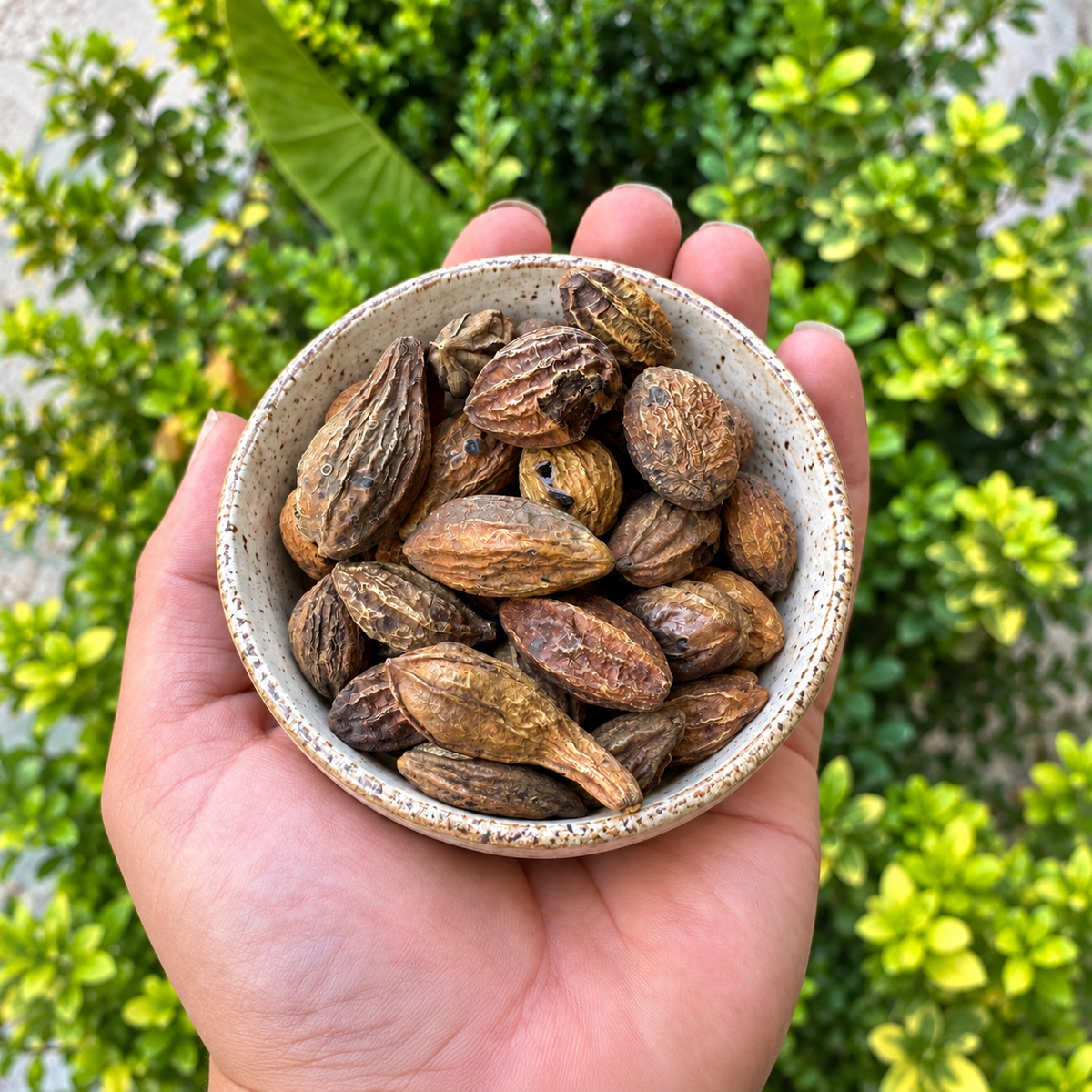 Sarı Halile 250 g- %100 Doğal Katkısız