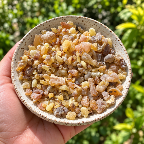Akgünlük Sakızı (Boswellia serrata)