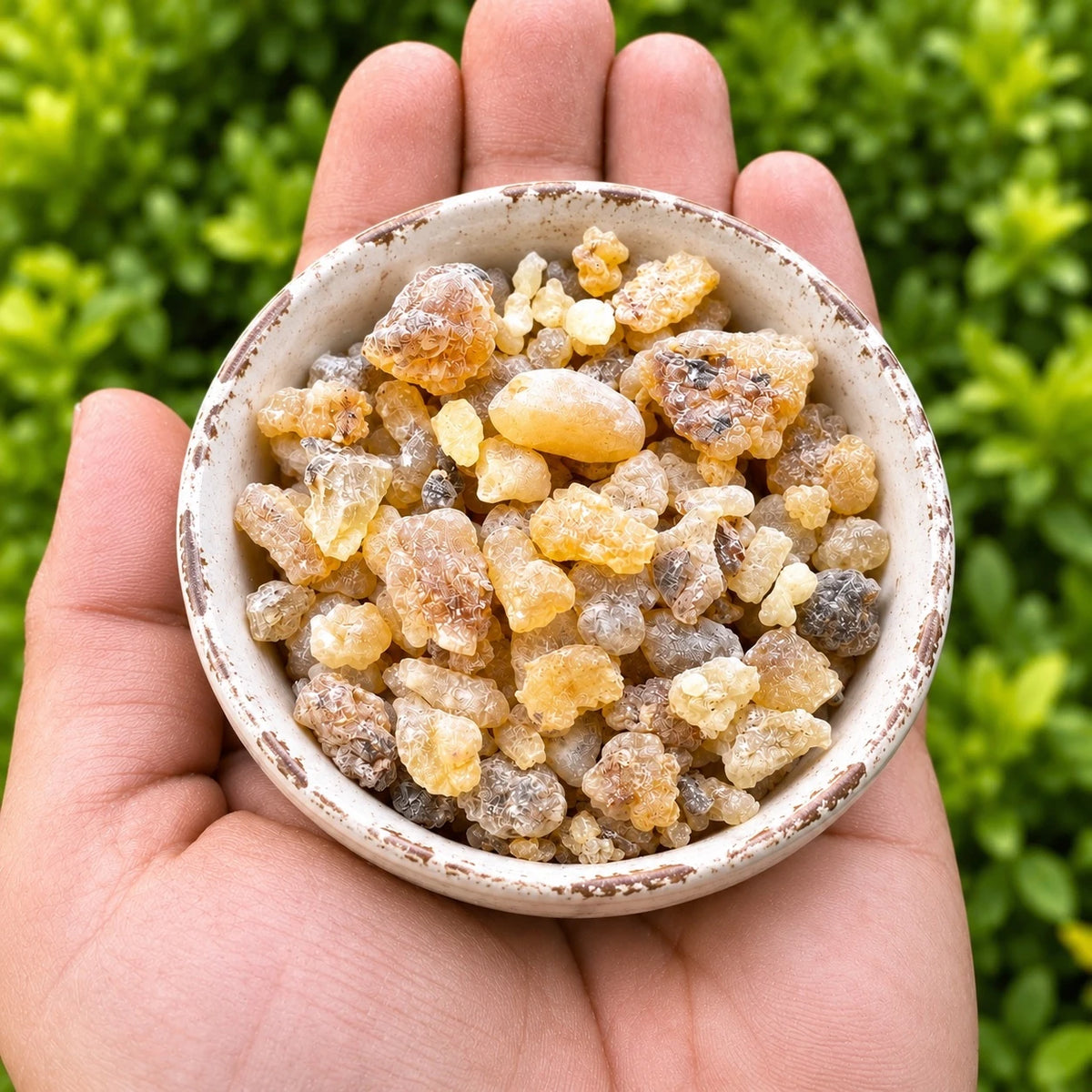 Sandaloz Sakızı - Ak günlük - Kara Halile - Detoks, Günlük Arınma Seti - 3x100 gr.