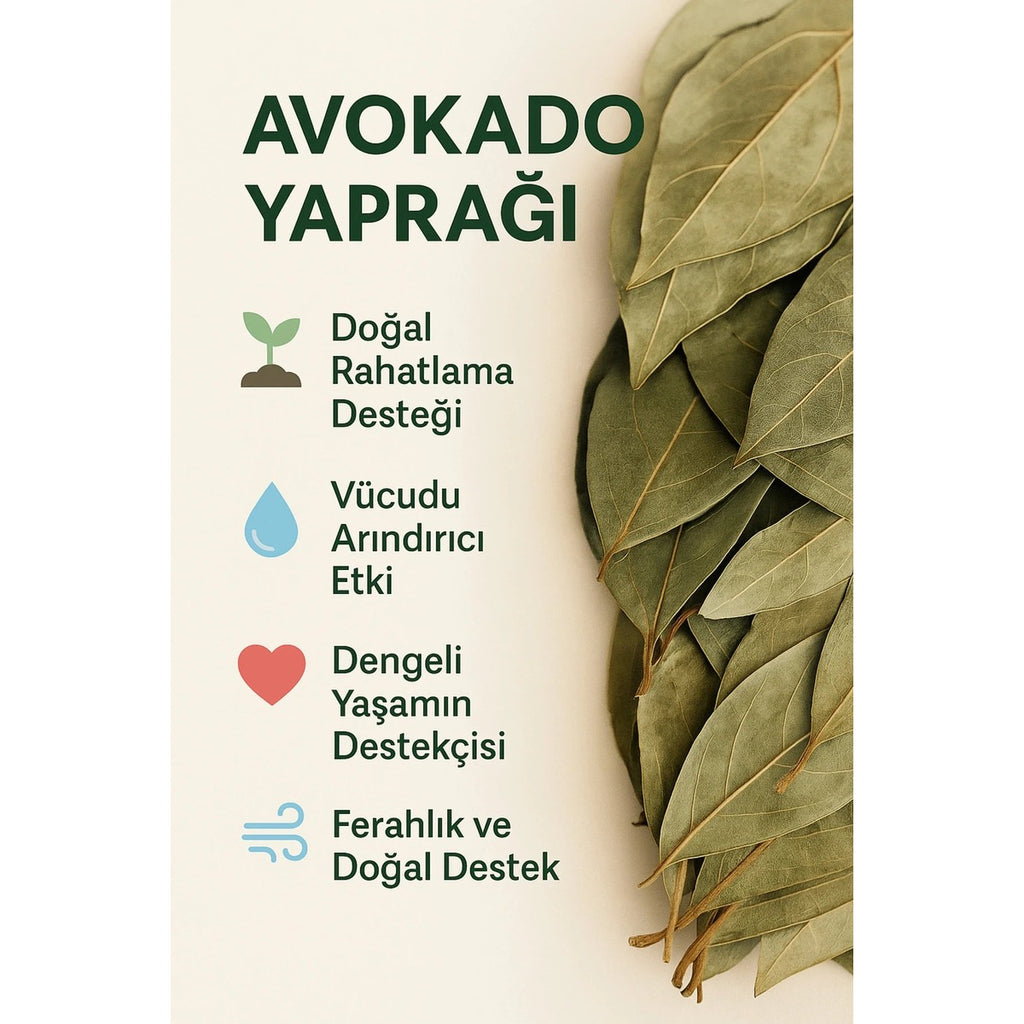 Avokado Yaprağı Çayı | %100 Doğal ve Taze Bitkisel Çay