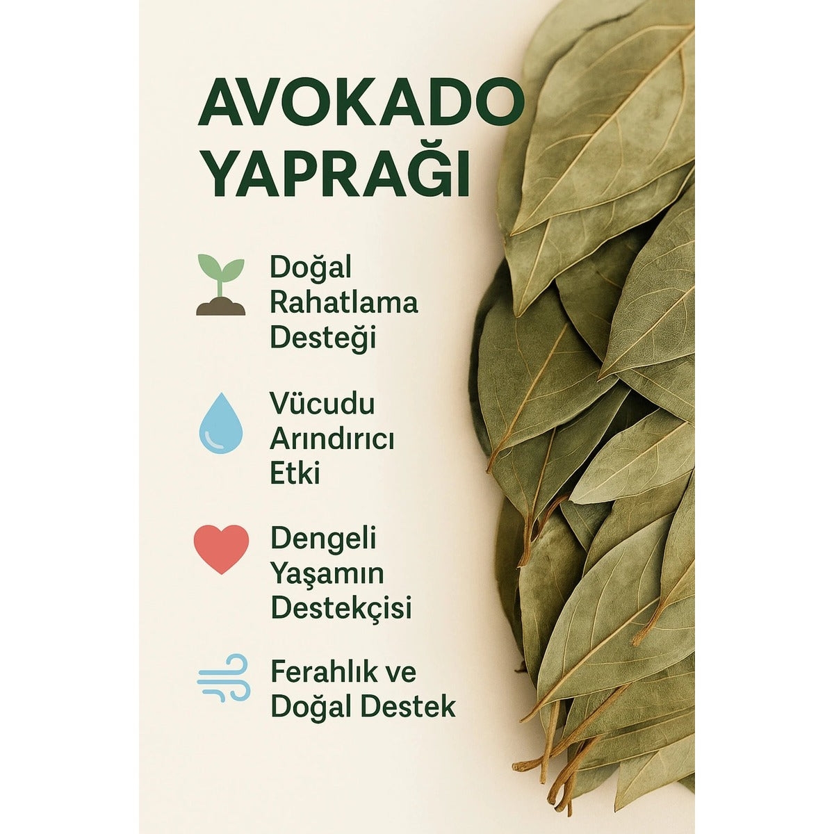 Avokado Yaprağı Çayı | %100 Doğal ve Taze Bitkisel Çay